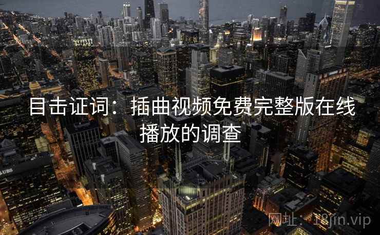 目击证词：插曲视频免费完整版在线播放的调查