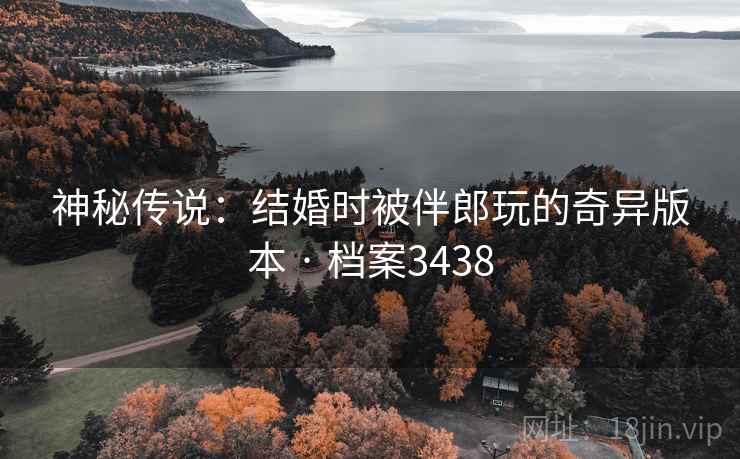 神秘传说：结婚时被伴郎玩的奇异版本 · 档案3438