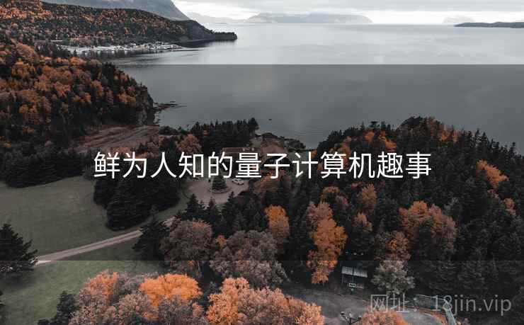 鲜为人知的量子计算机趣事